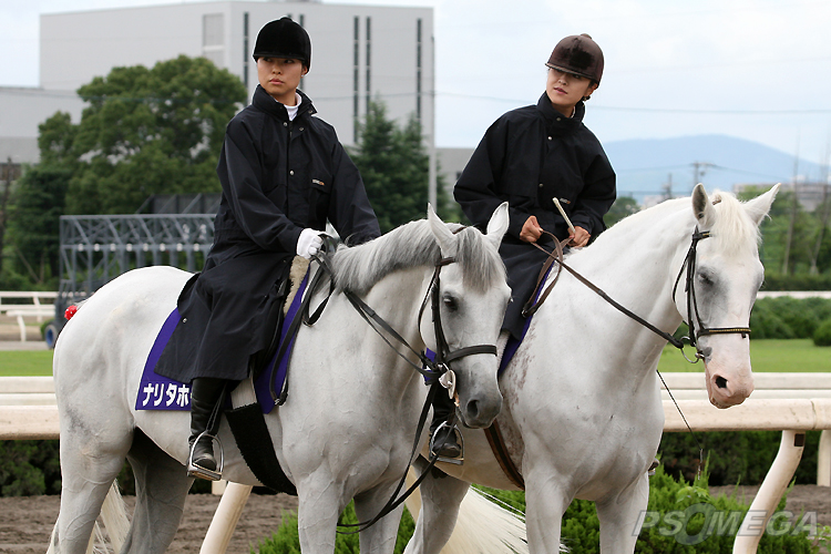 �e���ܗU���n