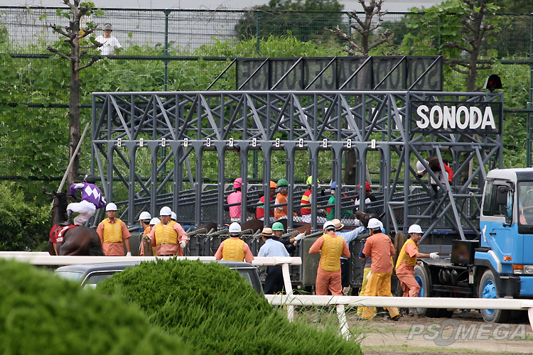 �`�����X�g�E���C��яo��