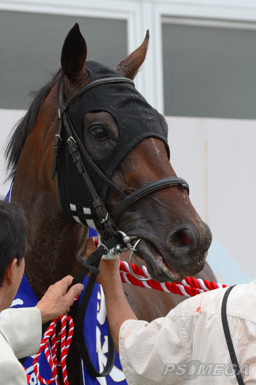 �`�����X�g�E���C