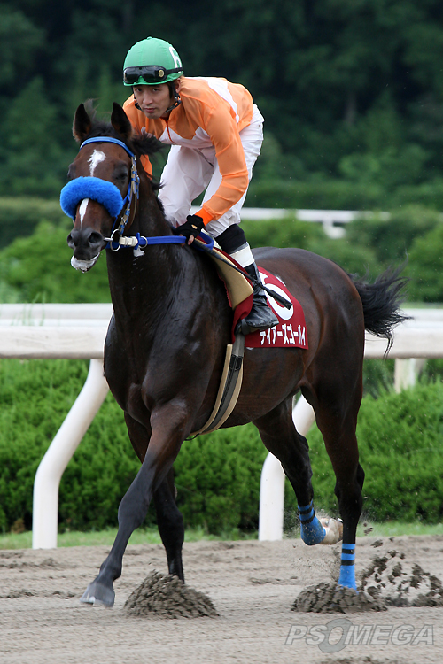 �e�B�A�[�Y�S�[�o�C