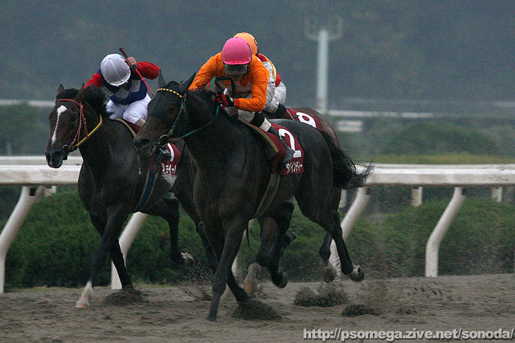 �����o���^�K�m�C���f�B�[