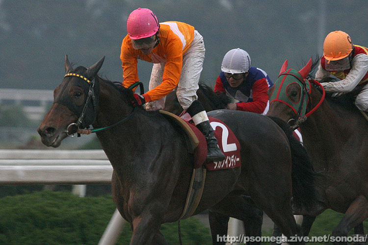 �^�K�m�C���f�B�[