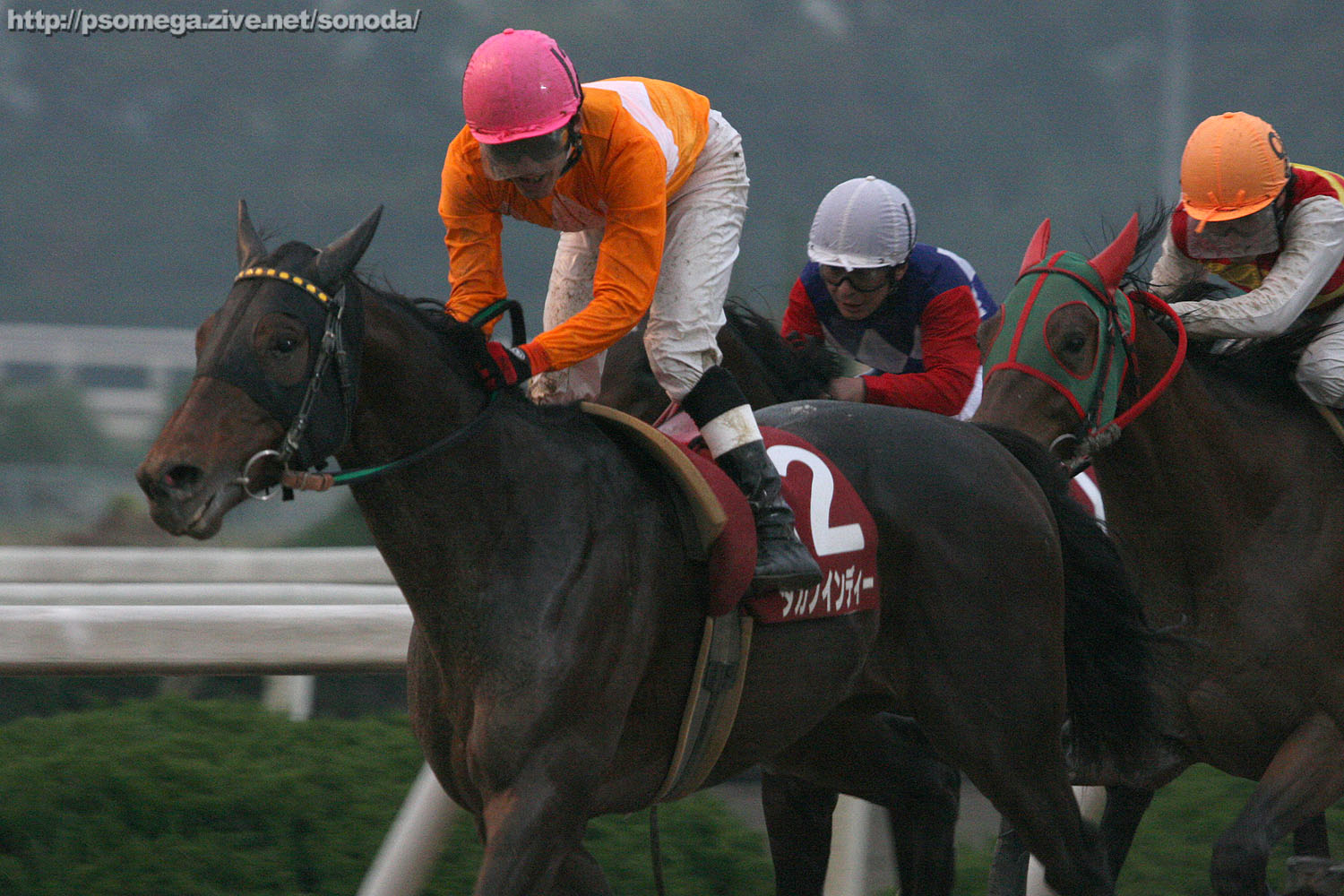 ��49�񉀓c���u