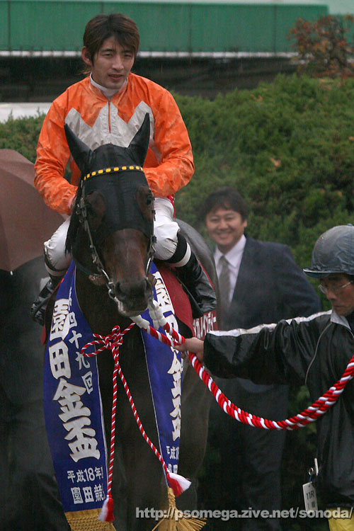 �^�K�m�C���f�B�[