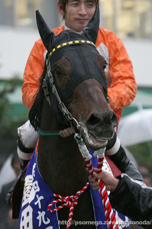 �^�K�m�C���f�B�[