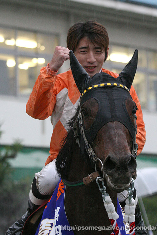 �^�K�m�C���f�B�[