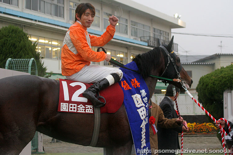 �^�K�m�C���f�B�[�E�ؑ��R��