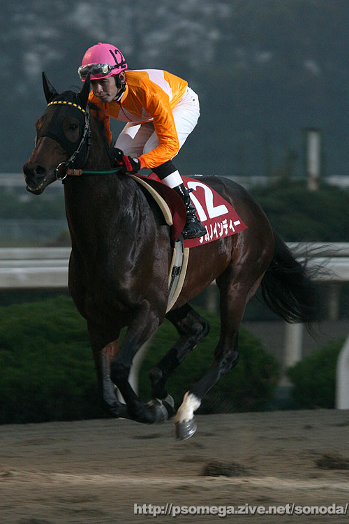 �^�K�m�C���f�B�[�E�ؑ���