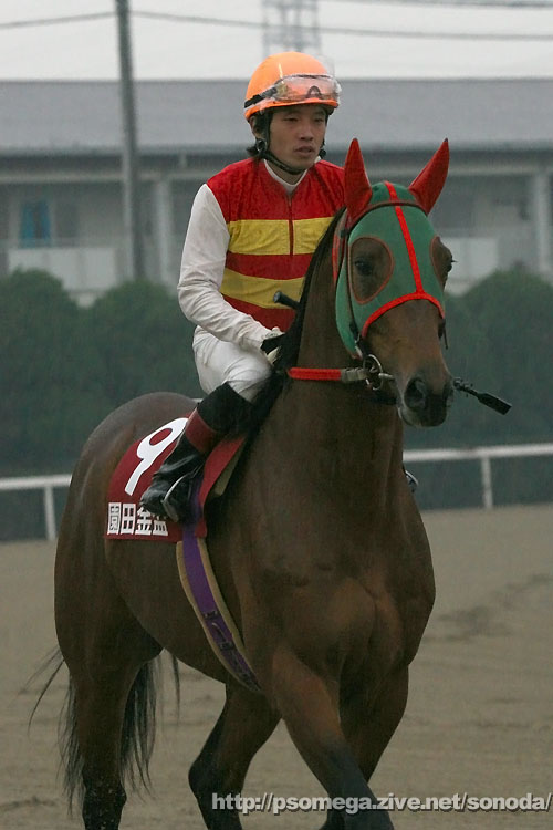 �x�X�g�^�C�U��