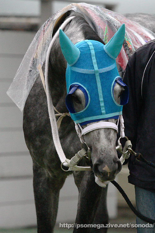 �^�}���r�N�g���[