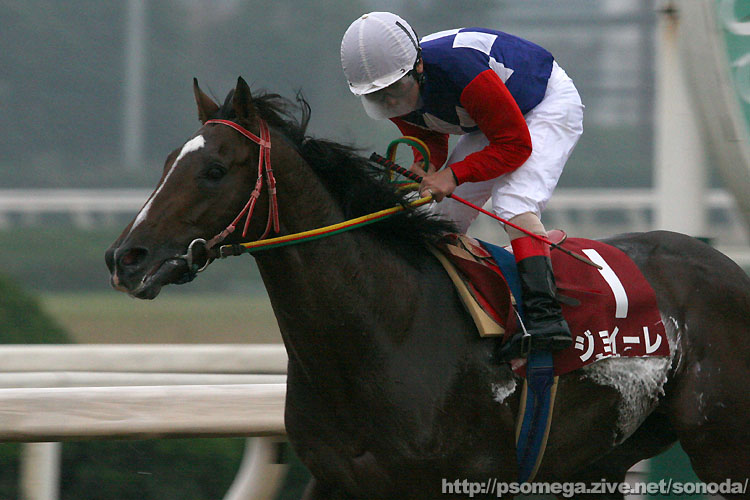 �W���C�[��