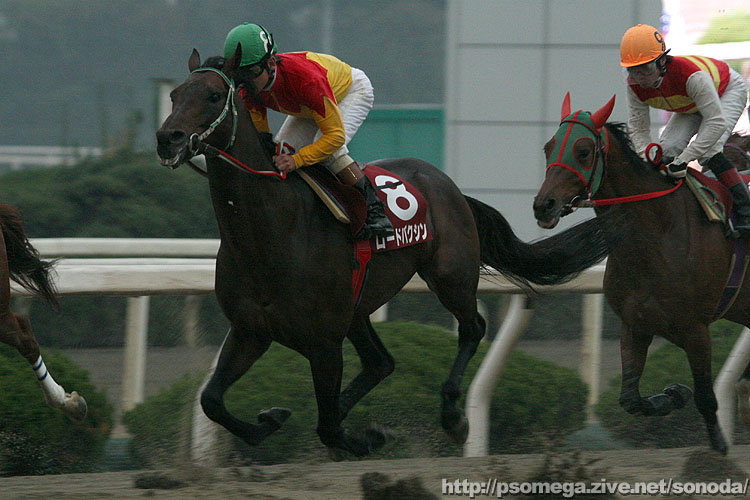 ���[�h�o�N�V��