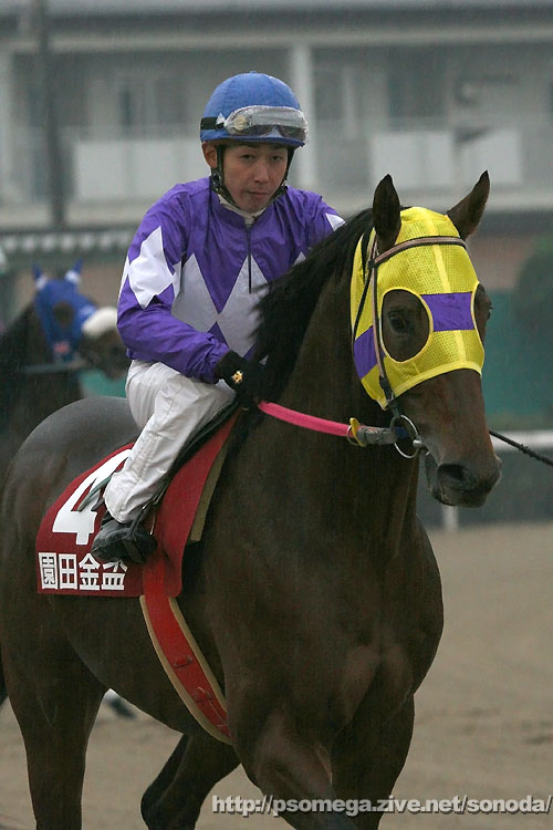 ���b�h�y�K�T�X