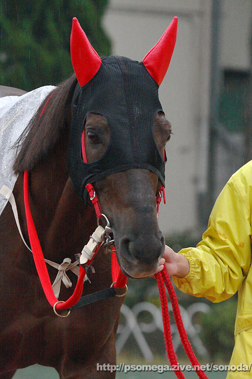 �z�N�U���X�^�[�_��