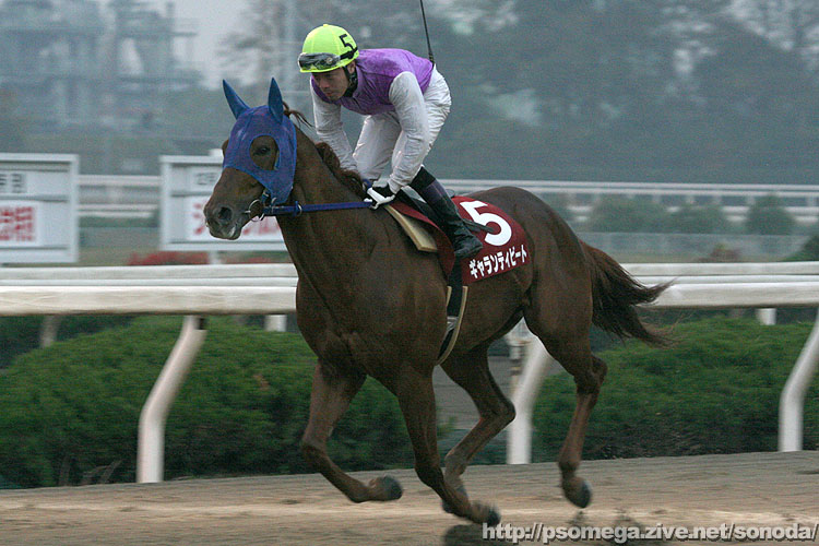 �M�������e�B�r�[�g