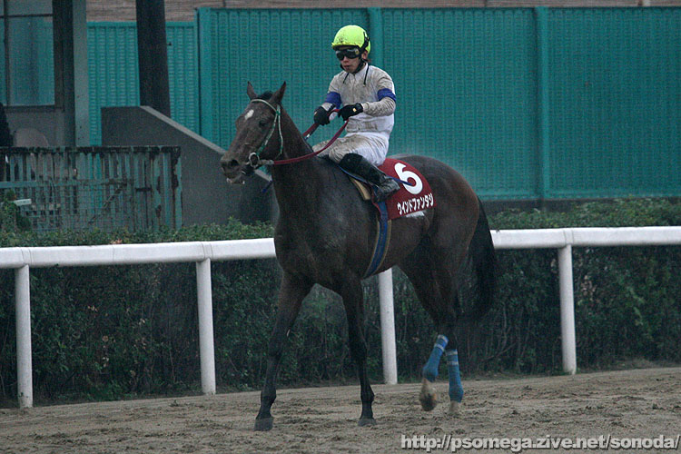 �E�C���h�t�@���^�W