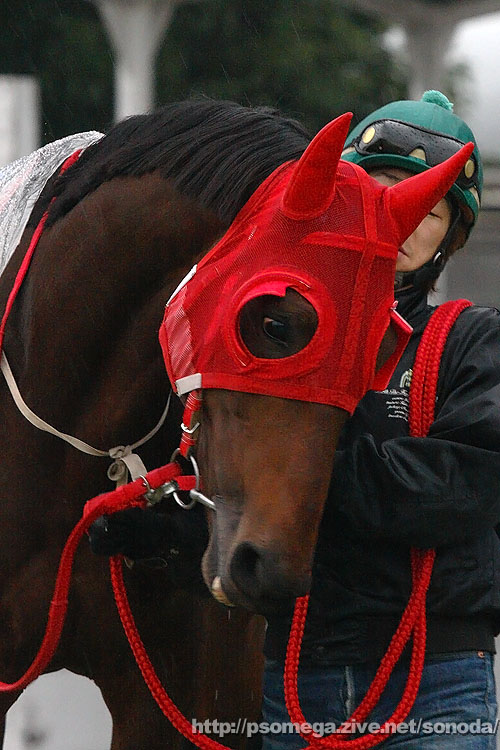 �f�B�O�j�e�B�o�C�I