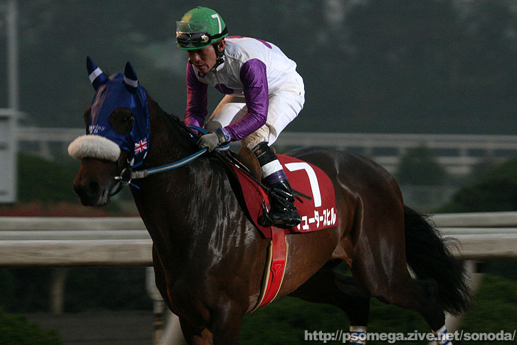 �V���[�^�[�X�q��