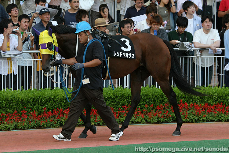 ���b�h�y�K�T�X