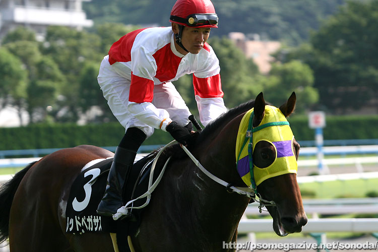 ���b�h�y�K�T�X