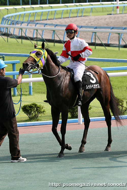 ���b�h�y�K�T�X