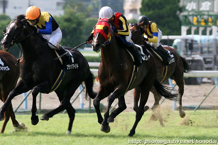 �A���r���I�ƃu���b�N�^�C�h