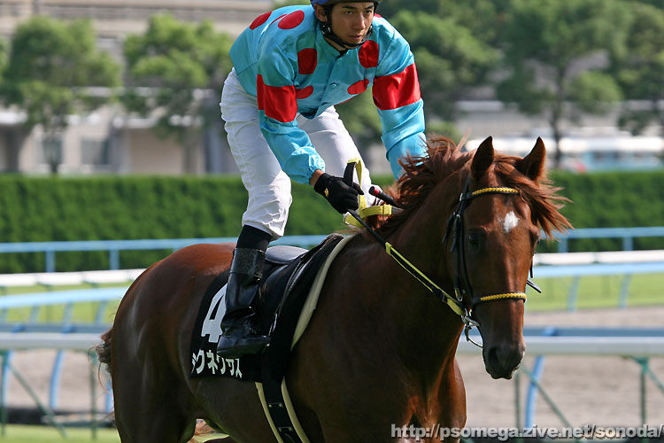 �V���N�l�N�T�X