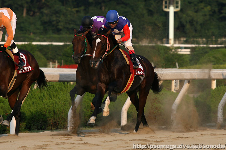 �W���C�[��