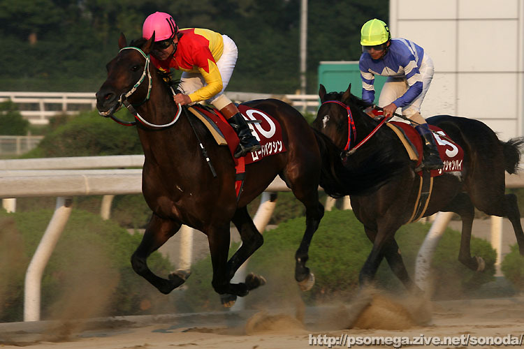 ���[�h�o�N�V��