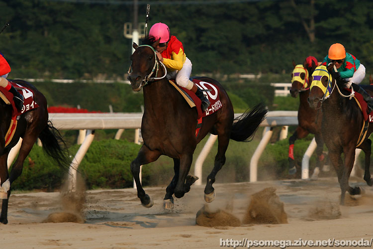 ���[�h�o�N�V��