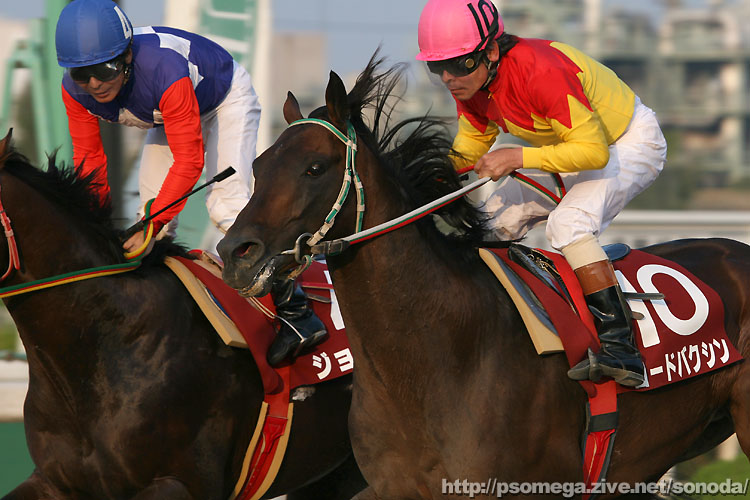 ��45���܁E���[�h�o�N�V��