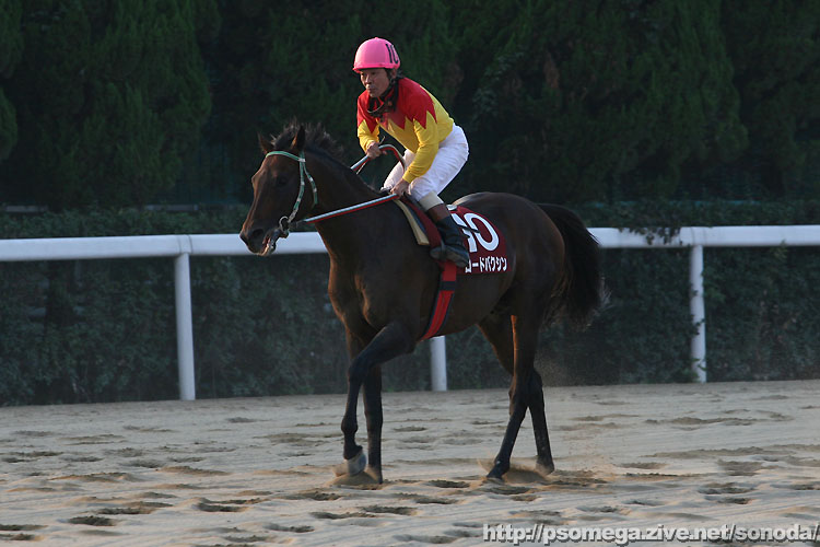 ���[�h�o�N�V��