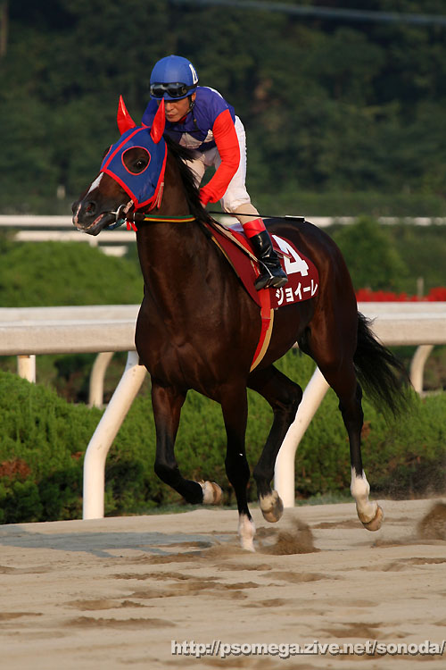 �W���C�[��