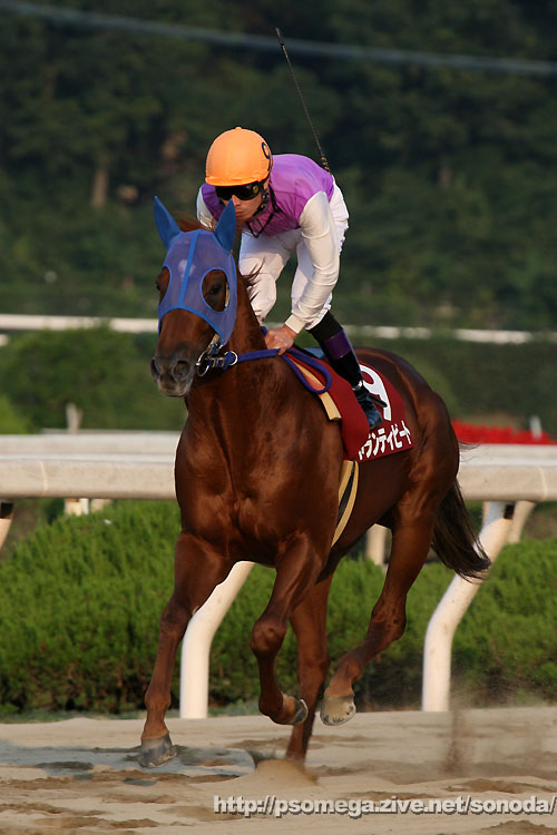 �M�������e�B�r�[�g