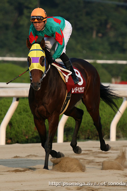 ���b�h�y�K�T�X