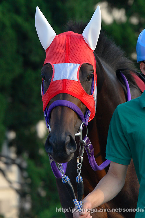 �g�[�R�[�A���^���X