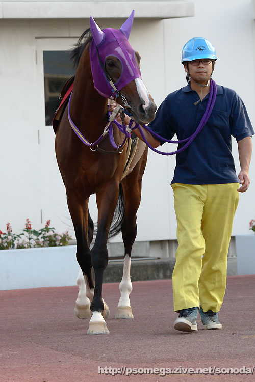 �r�[���J�~�J�[