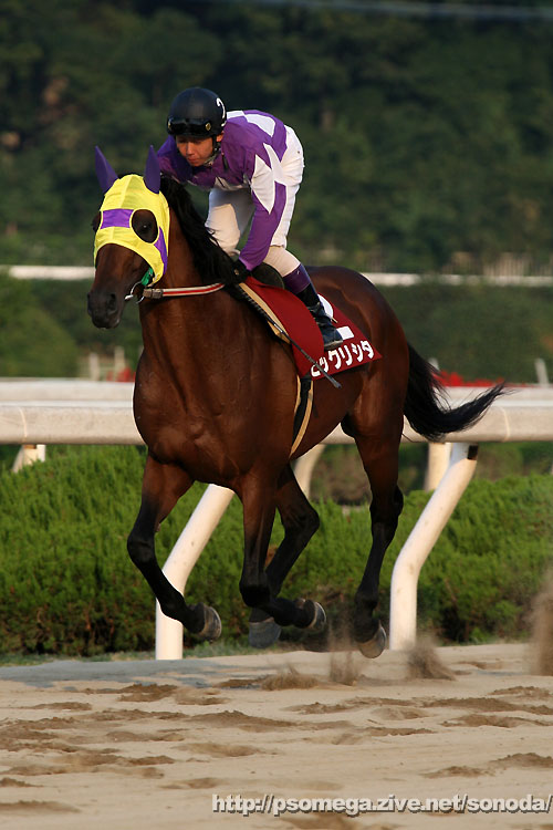 �r�b�N���V�^