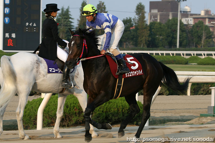 �T�����E�V�����n�C