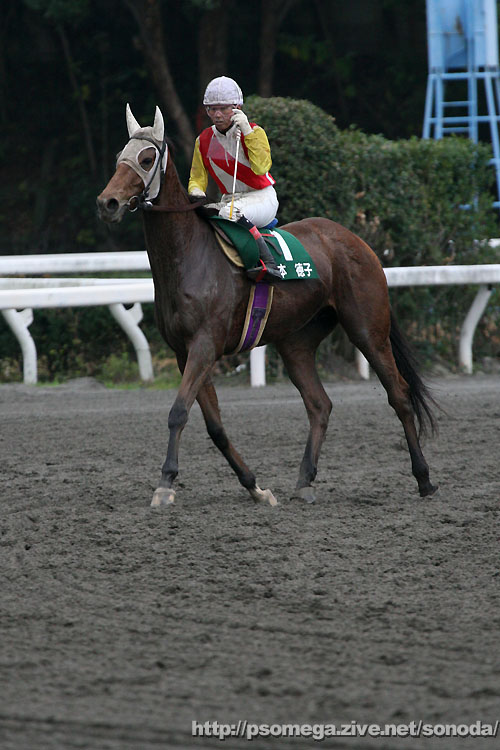 ���[�X��