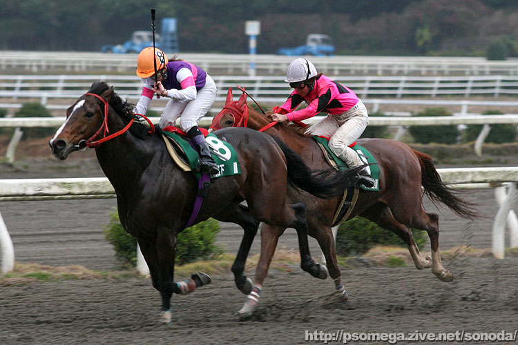 �{�����R��