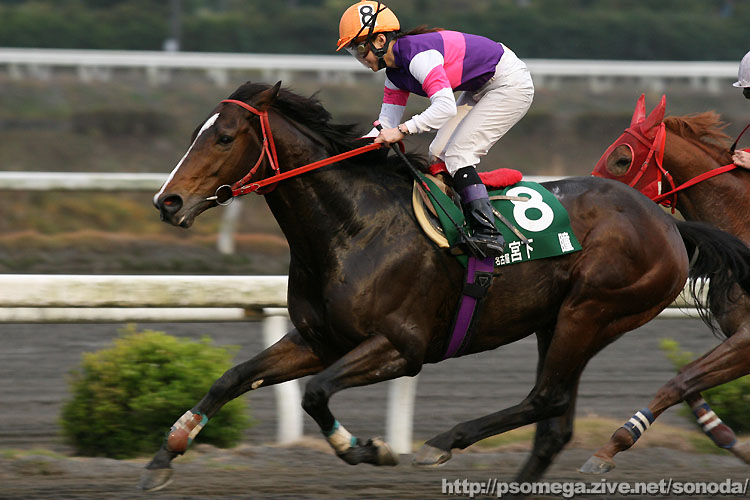 �{�����R��