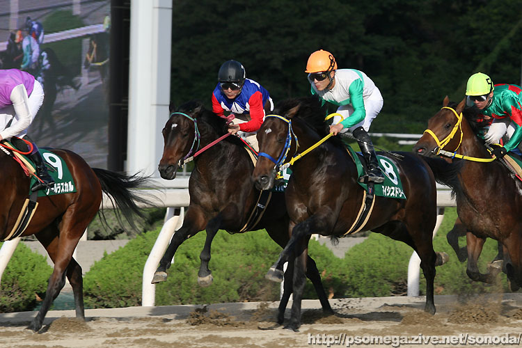 �^�b�J�[�e���r�[