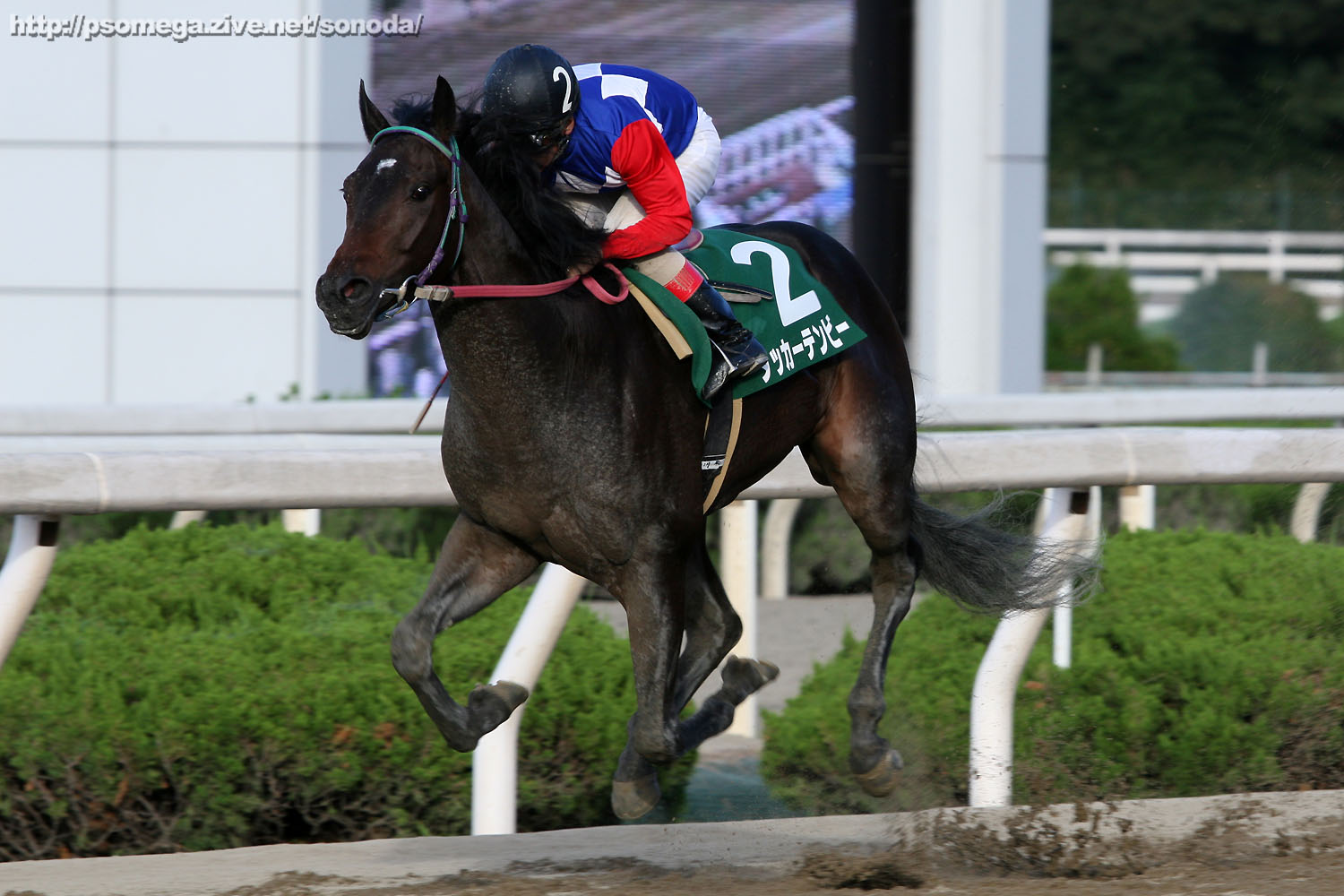 �v�����X���[�g���t�B�[