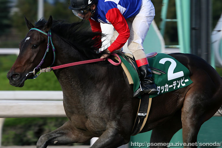 �^�b�J�[�e���r�[