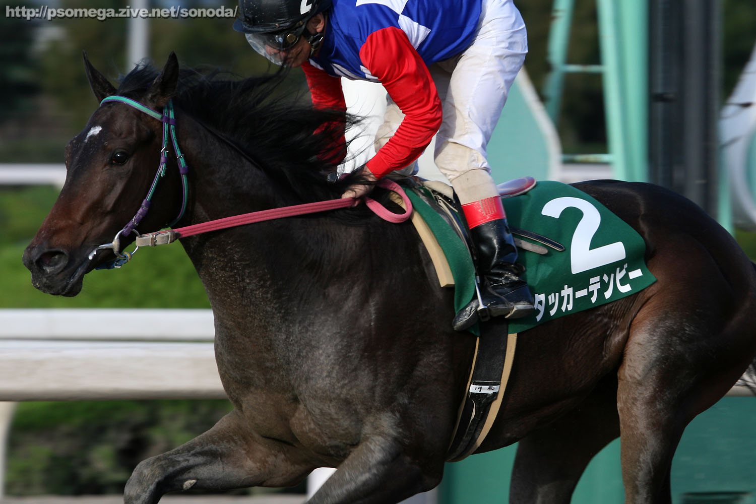 �v�����X���[�g���t�B�[