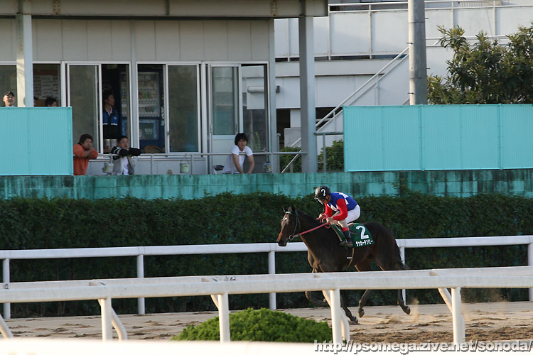 �^�b�J�[�e���r�[