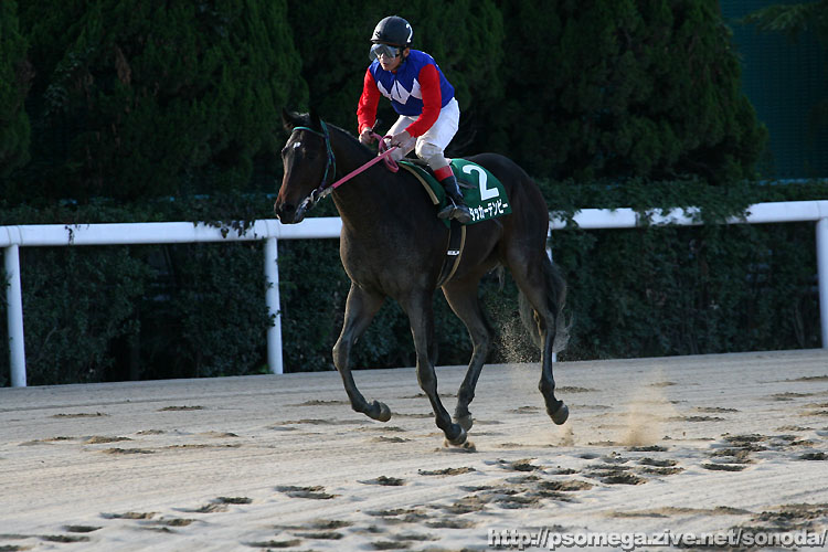 �^�b�J�[�e���r�[