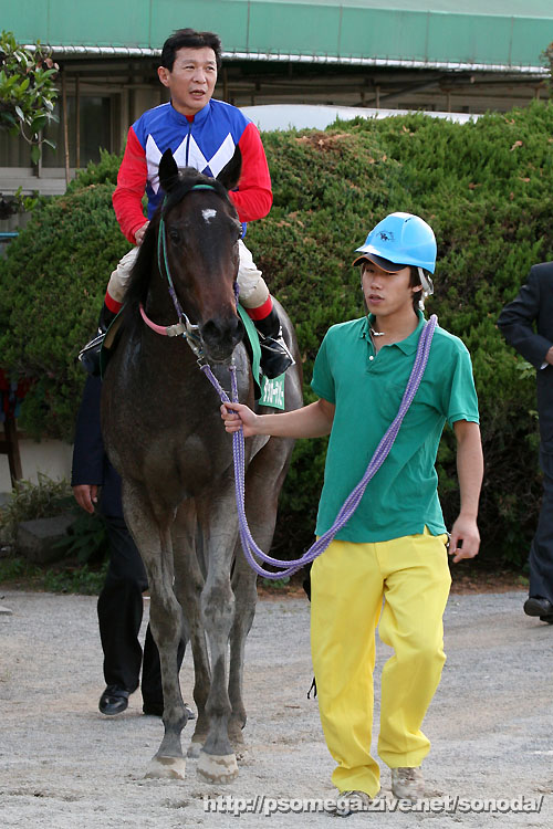 �^�b�J�[�e���r�[