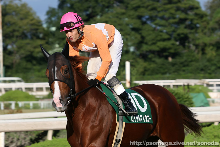 ���C�����}�C�E�G�[